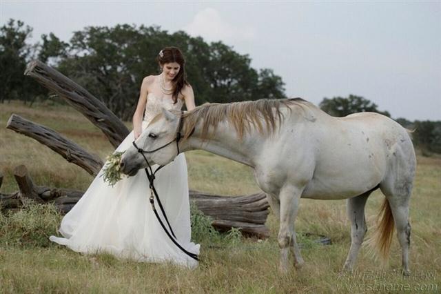 骑马的婚纱照_婚纱照骑马图像