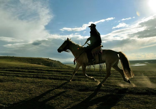 驰骋草原_新浪图片
