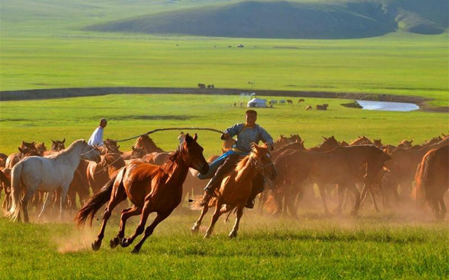驰骋草原_新浪图片