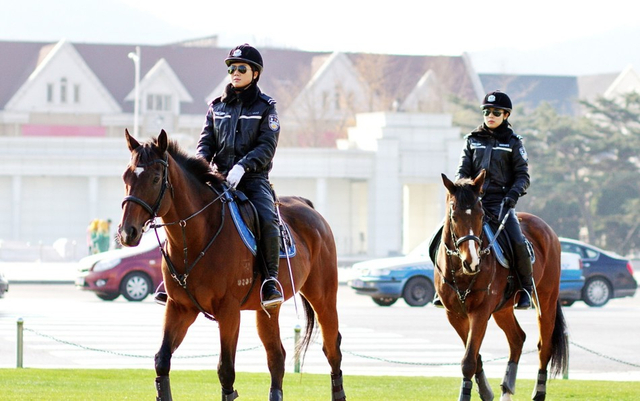 美女骑兵_新浪图片