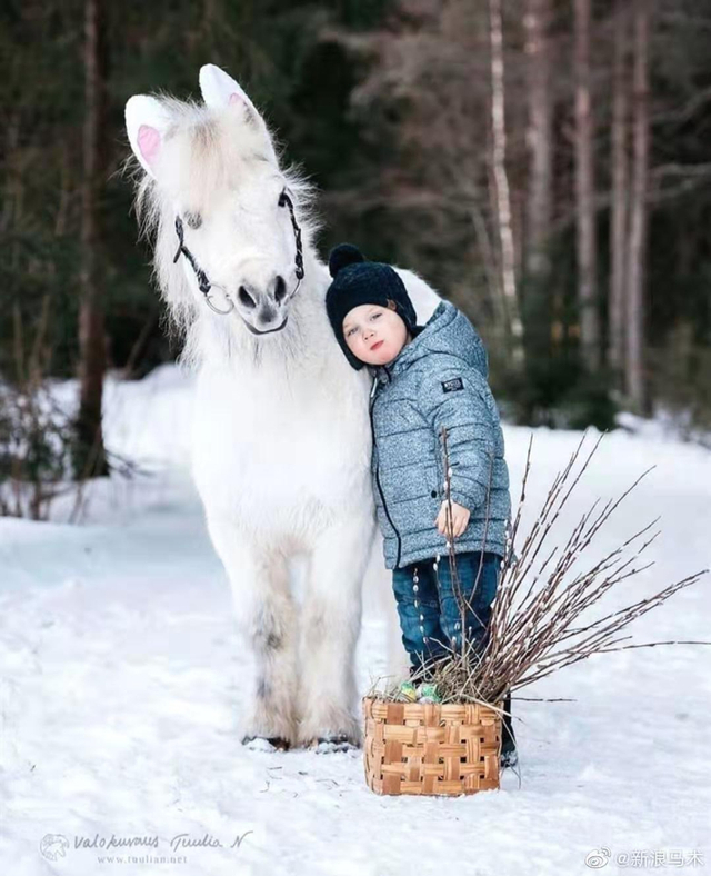 马儿的可爱瞬间_新浪图片