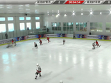 视频录播-新浪杯总决赛 北京冰峰冰球vs南京奥体虎鲸