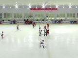 视频录播-新浪杯总决赛 威龙08银河vs北京冰峰冰球