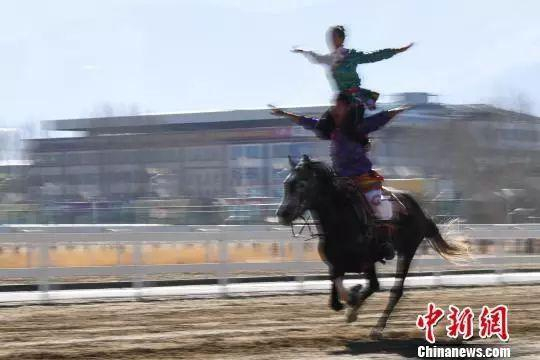 图为马术队队员在表演马上叠罗汉。　何蓬磊　摄