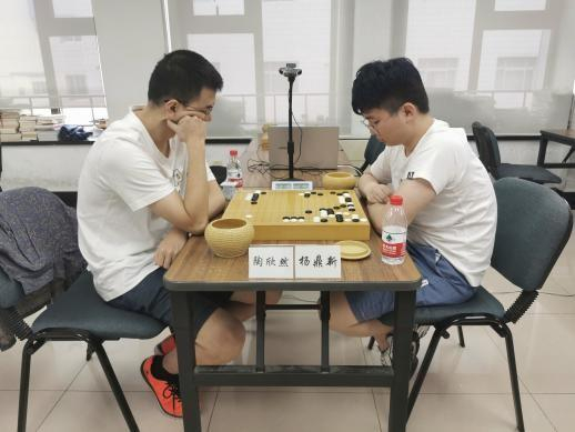 陶欣然vs杨鼎新