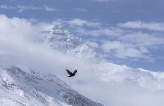图为被云雾笼罩的珠峰（5月27日摄）。新华社记者洛登 摄