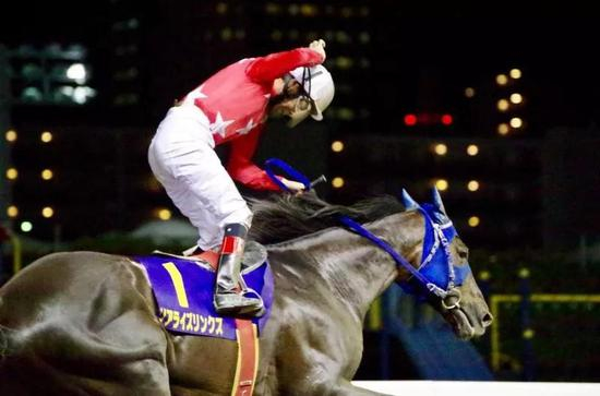的场文男赢得职业生涯第7，000场头马