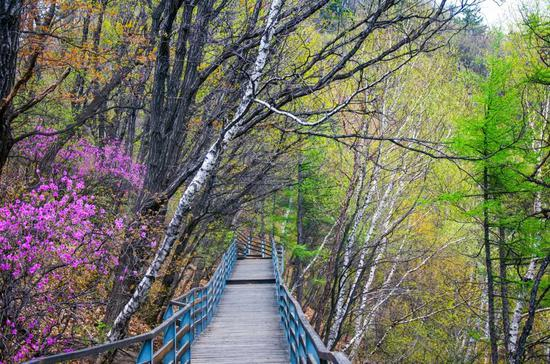 ▲云蒙山森林公园