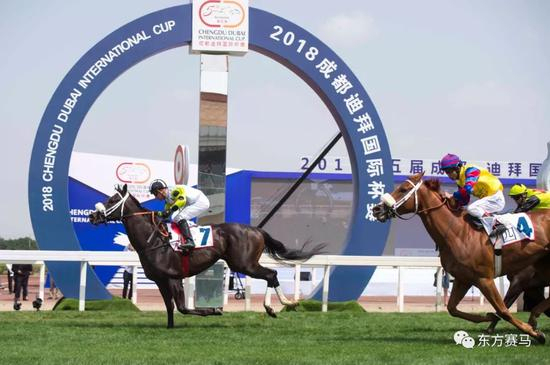 ▲图/Meydan Racing，‘托巴科’