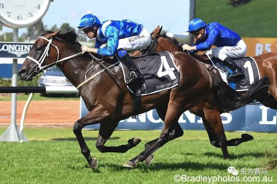 ▲图/Bradley Photos，‘云丝仙子’