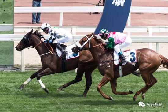 ▲图/Meydan Racing，‘艾吉巴尔’（左）