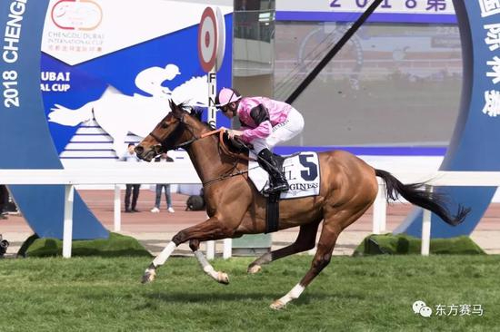 ▲图/Meydan Racing，‘月光急驰’