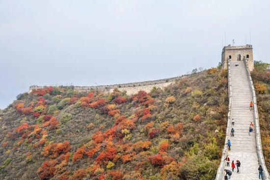 红叶交错，长城巍峨，这般壮丽赛道，你可曾见过？