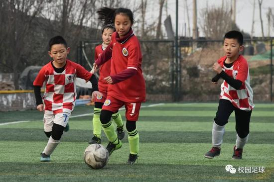 ❉&nbsp;摄影：李顺