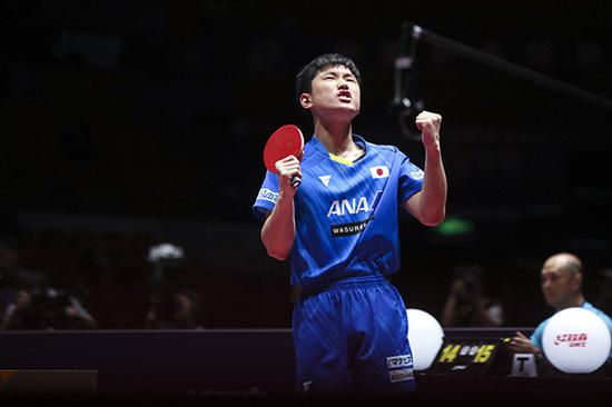 一年之后的东京奥运会，张本智和无疑将是国乒的“头号对手”。 视觉中国 图