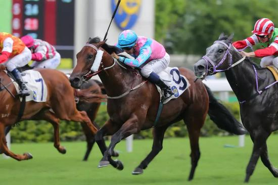 ‘利害了’（9号马）