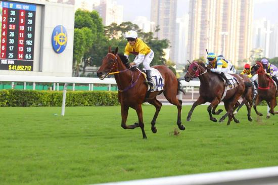 父系：“希腊小岛”（Zacinto）