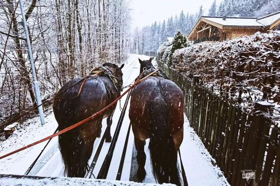 图片来自：@KIKIWIWI看世界