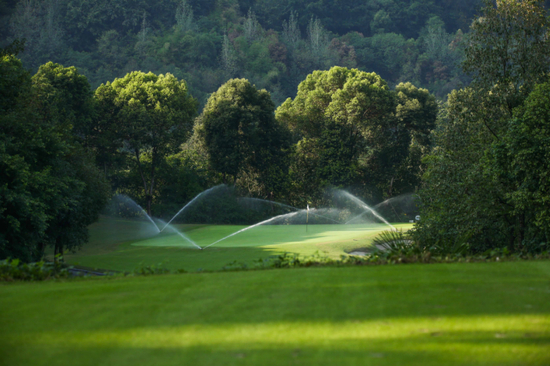 第14洞（221码，3杆洞）