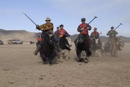 一场当代的外蒙古马球比赛