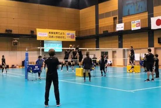 日本女排雅加达亚运会14人名单：