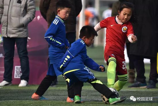 ❉&nbsp;摄影：李顺