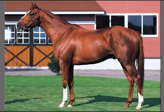 重砲（Mayano Top Gun、マヤノトップガン）