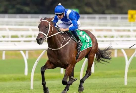 “云丝仙子”，图片来自赛事官网。