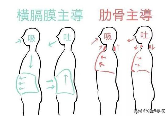 第一种腹式呼吸：