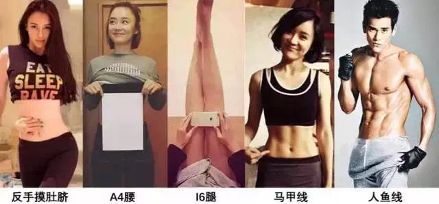 ▲购物中心作为城市的“时尚客厅”，健身业态与之有先天紧密的联系。