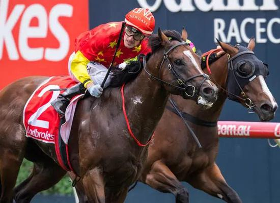 ▲图/Bronwen Healy，‘俄国先锋’