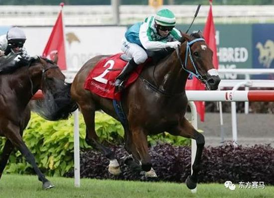 ▲图/Singapore Turf Club，‘步兵团’