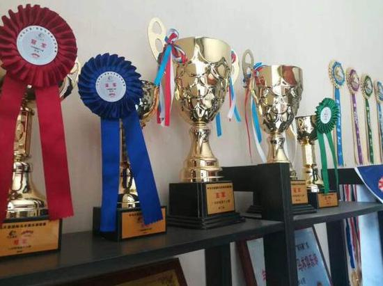 艾莉健达马术以往参赛获奖奖杯