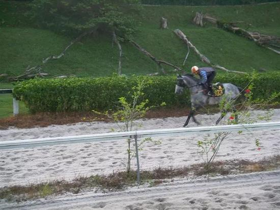 2012年5月覃勇在马来西亚赛马会训练（黄帽）