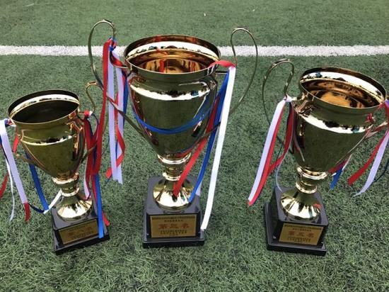 ↑沉甸甸的奖杯