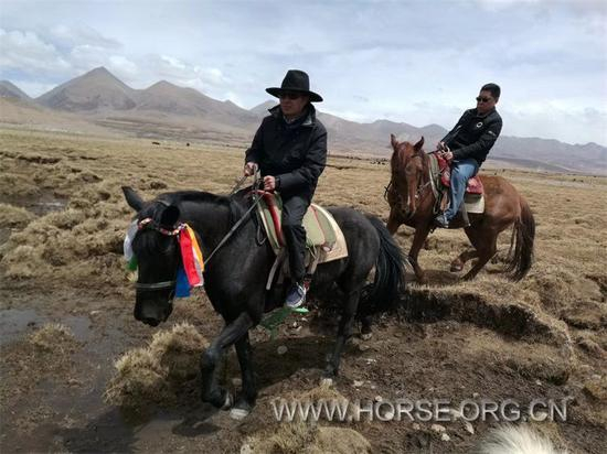 其美次仁县长、边巴扎西常委骑马踏勘