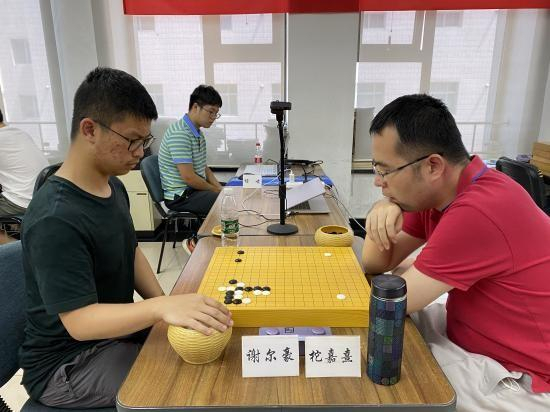 谢尔豪vs柁嘉熹
