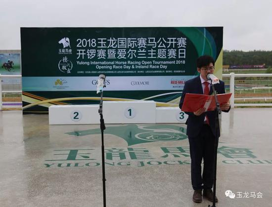 爱尔兰赛马协会纯血马事务部王超