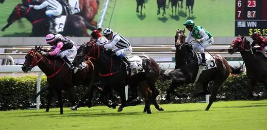 ‘四季旺’（5号马）后上夺冠，图源：HKJC