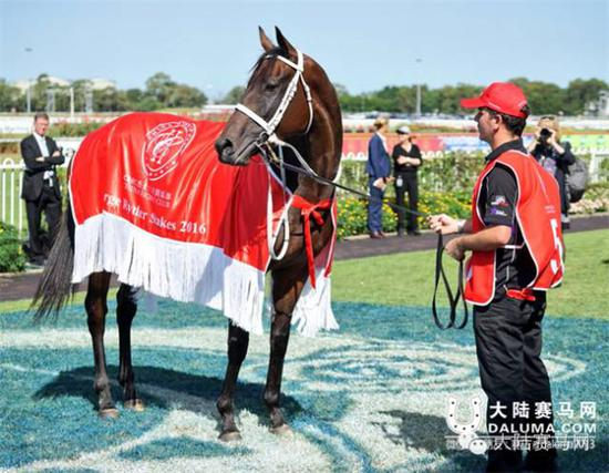 “云丝仙子”身披2016年CHC杰士马主俱乐部冠名赞助的乔治雷德锦标赛冠军马衣