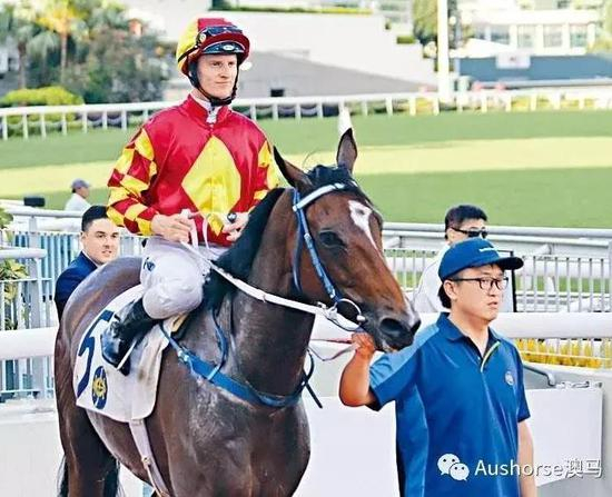 冠军：喜胜劲驹（澳）/Winning&nbsp;Delight