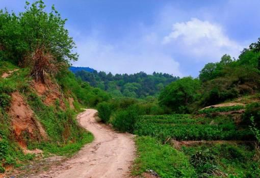 若不是因为参加活动，顺这小路进山走走也许会发现什么。