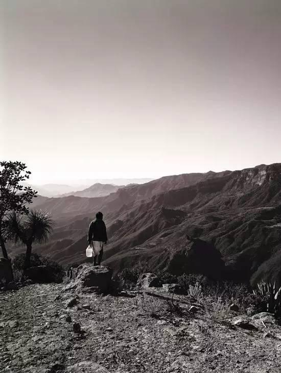 什么样的跑法能让作家的脚伤不治而愈？