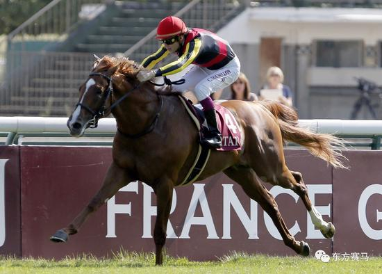 ▲图/AFP，‘黄金巨匠’