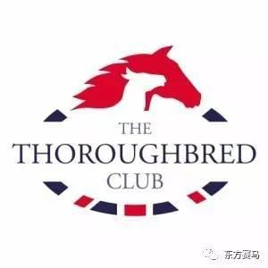 ▲图/The Thoroughbred Club，纯血马俱乐部