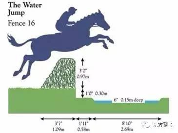 　▲图/比赛官网