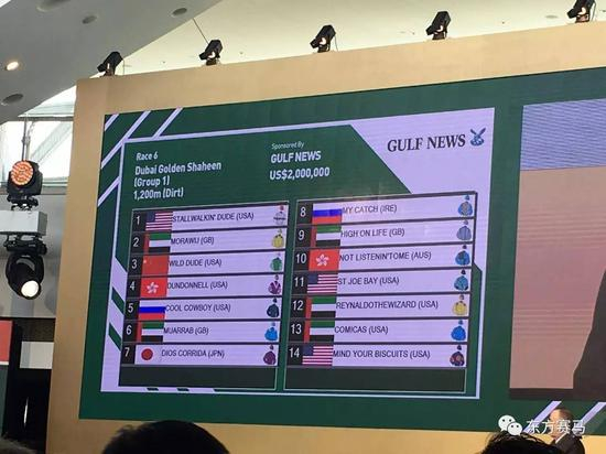  ▲图/胡月朦，马匹的名字、彩衣、出生地、代表地区