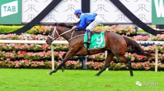 ▲图/ATC，‘云丝仙子’