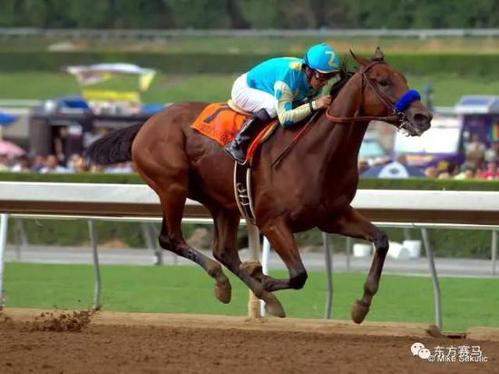 ▲图/Mike Sekulic，‘美国法老’