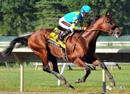 ▲图/Sarah K。 Andrew，‘美国法老’